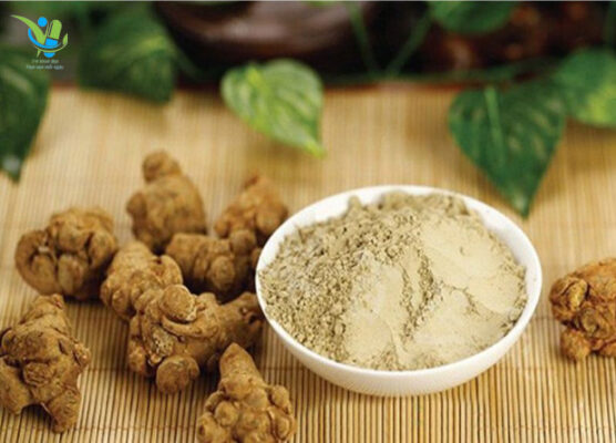 Củ tham thất phơi khô và tán nhỏ thành bột tiện pha chế sử dụng Củ tham thất phơi khô và tán nhỏ thành bột tiện pha chế sử dụng
