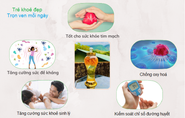 Lợi ích của rượu đông trùng Lợi ích của rượu đông trùng hạ thảo