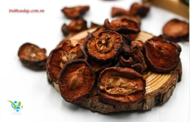 Một số bài thuốc y học cổ truyền sử dụng táo mèo Một số bài thuốc y học cổ truyền sử dụng táo mèo