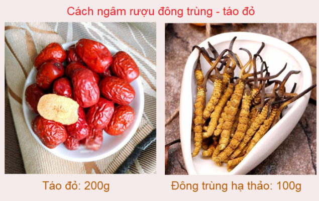 Ngâm rượu đông trùng với táo đỏ Ngâm rượu đông trùng với táo đỏ