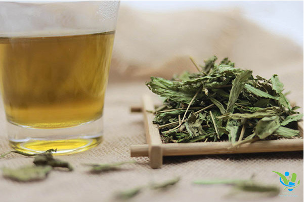 Có thể pha nước uống thay trà nhưng cũng không nên sử dụng thường xuyên Có thể pha nước uống thay trà nhưng cũng không nên sử dụng thường xuyên