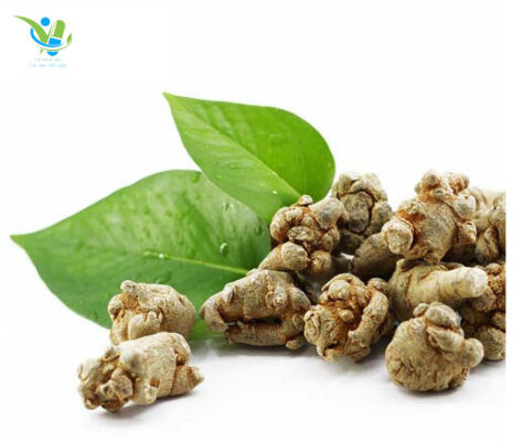 Những lưu ý khi sử dụng củ tam thất