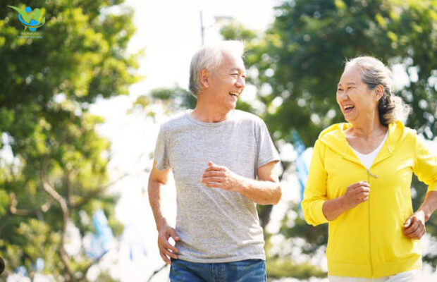 Kích thích hệ tống miễn dịch, nâng cao sức đề kháng. Giúp ngăn ngừa bệnh tật, tăng cường sức lực. Kích thích hệ tống miễn dịch, nâng cao sức đề kháng. Giúp ngăn ngừa bệnh tật, tăng cường sức lực.