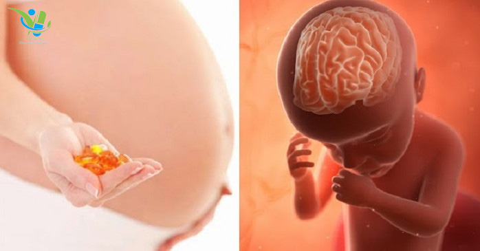 Vai trò của DHA cho bà bầu và thai nhi Vai trò của DHA cho bà bầu và thai nhi