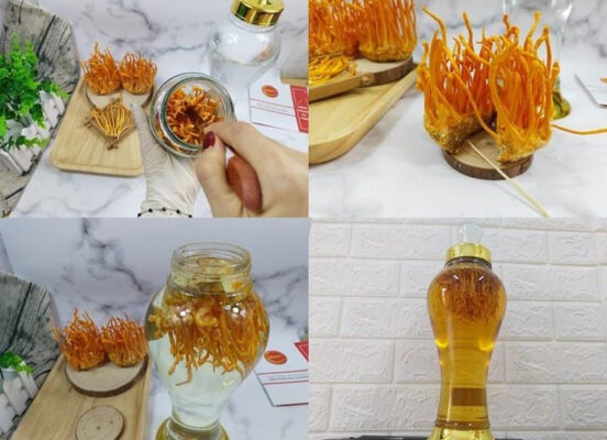 Cách ngâm đông trùng tươi Cách ngâm đông trùng tươi