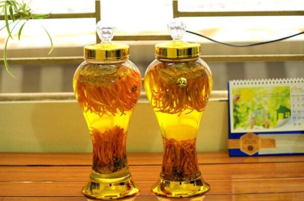 Cách ngâm và công dụng của rượu đông trùng Cách ngâm và công dụng của rượu đông trùng