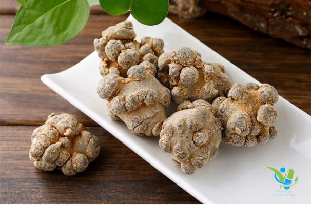 Thành phần dinh dưỡng trong củ tam thất Thành phần dinh dưỡng trong củ tam thất