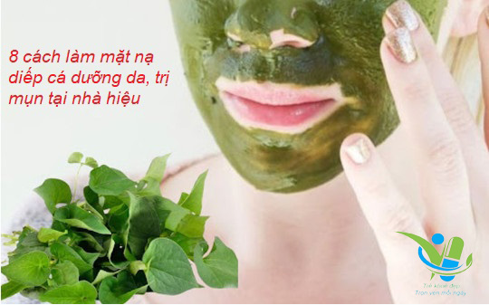8 cách làm mặt nạ từ rau diếp cá giúp dưỡng da, trị mụn tại nhà 8 cách làm mặt nạ từ rau diếp cá giúp dưỡng da, trị mụn tại nhà