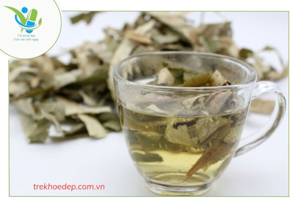 Chữa gan nhiễm mỡ bằng lá sen khô