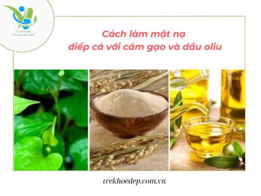 Cách làm mặt nạ trị mụn từ diếp cá, cám gạo và dầu oliu Cách làm mặt nạ trị mụn từ diếp cá, cám gạo và dầu oliu