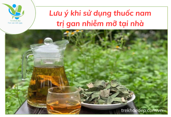 Lưu ý khi sử dụng thuốc nam trị bệnh gan nhiễm mỡ