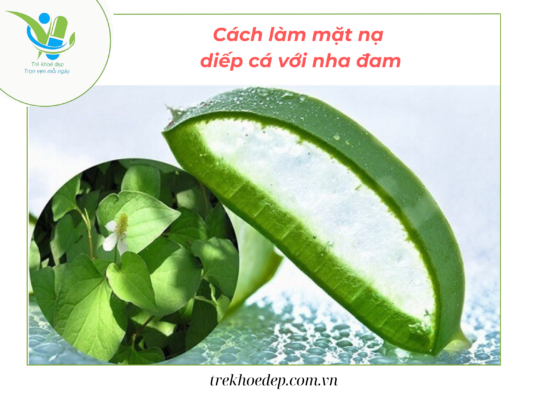 Cách làm mặt nạ trị mụn bằng diếp cá và nha đam Cách làm mặt nạ trị mụn bằng diếp cá và nha đam