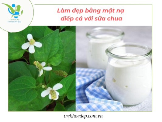 Dưỡng da bằng diếp cá và sữa chua không đường Dưỡng da bằng diếp cá và sữa chua không đường