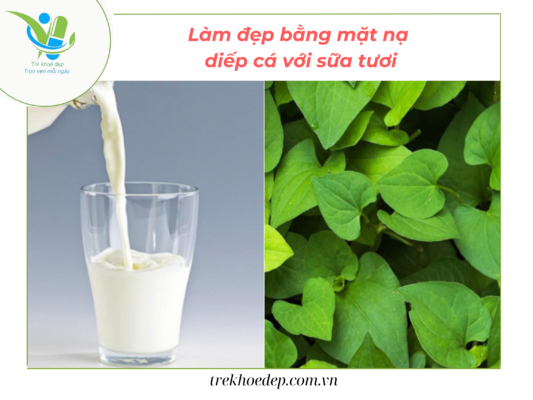 Dưỡng da bằng diếp cá và sữa tươi Dưỡng da bằng diếp cá và sữa tươi