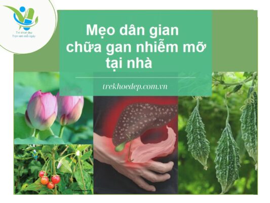 Mẹo dân gian chữa gan nhiễm mỡ tại nhà