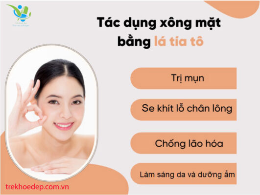 Xông mặt bằng lá tía tô đem lại lợi ích gì? Xông mặt bằng lá tía tô đem lại lợi ích gì?
