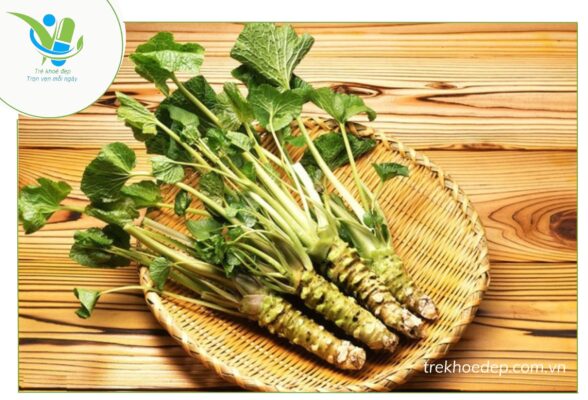 Thuốc nam trị bệnh gan nhiễm mỡ từ cây mù tạt