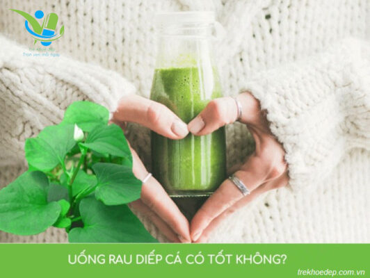 Uống rau diếp cá mỗi ngày có tốt không? Uống rau diếp cá mỗi ngày có tốt không?