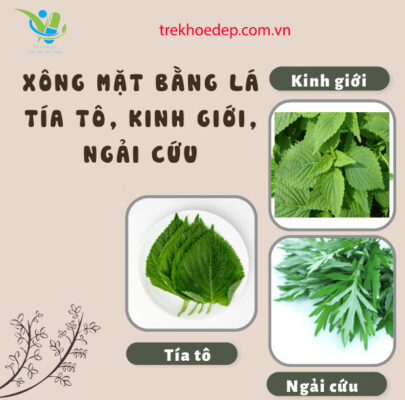 Xông mặt bằng ngải cứu + tía tô+ Kinh giới Xông mặt bằng ngải cứu + tía tô+ Kinh giới