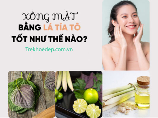 Xông mặt bằng lá tía tô tốt như thế nào? Xông mặt bằng lá tía tô tốt như thế nào?
