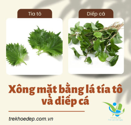 Xông mặt bằng lá tía tô và diếp cá Xông mặt bằng lá tía tô và diếp cá