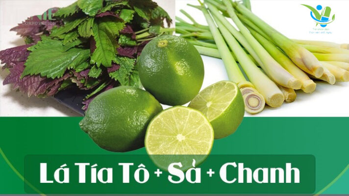 Xông mặt bằng lá tía tô + chanh + xả Xông mặt bằng lá tía tô + chanh + xả