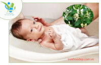 Cây kim ngân tắm cho trẻ